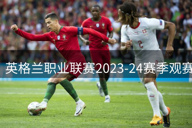 英格兰职业联赛2023-24赛季观赛指南免费派送　附赠全级别赛事详细解析